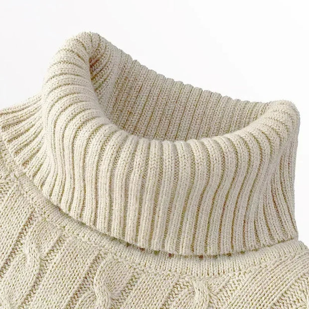 Autumn Men's Long Sleeve Knitted Sweaters Men's Slim Fit Turtleneck