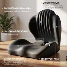 SpineGuard™ Comfort Cushion